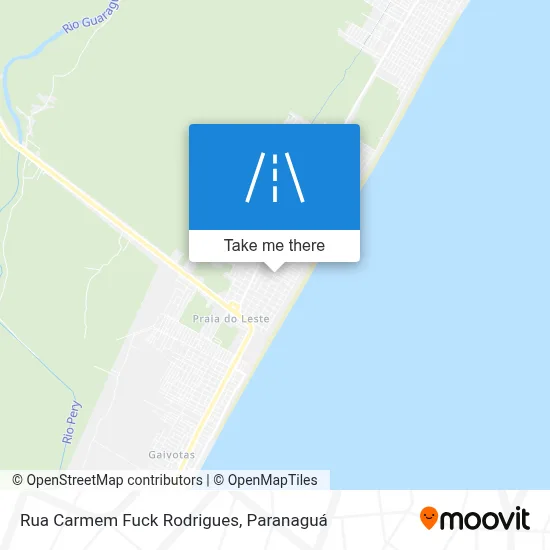 Rua Carmem Fuck Rodrigues map