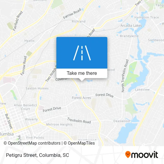 Petigru Street map
