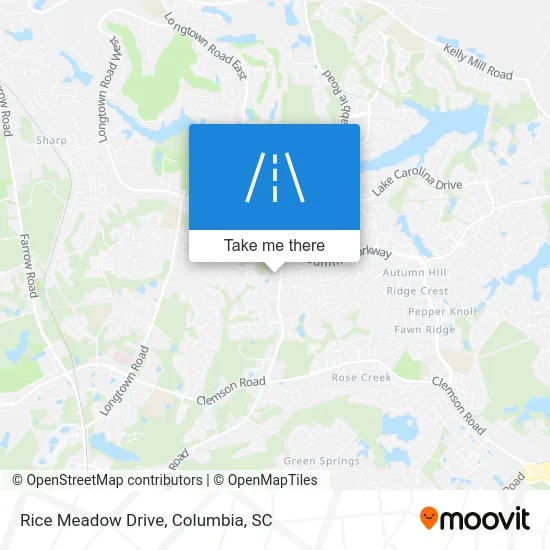Rice Meadow Drive map