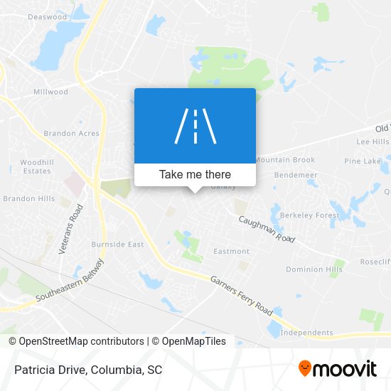 Mapa de Patricia Drive