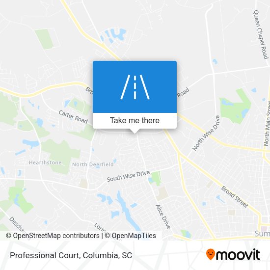 Professional Court map