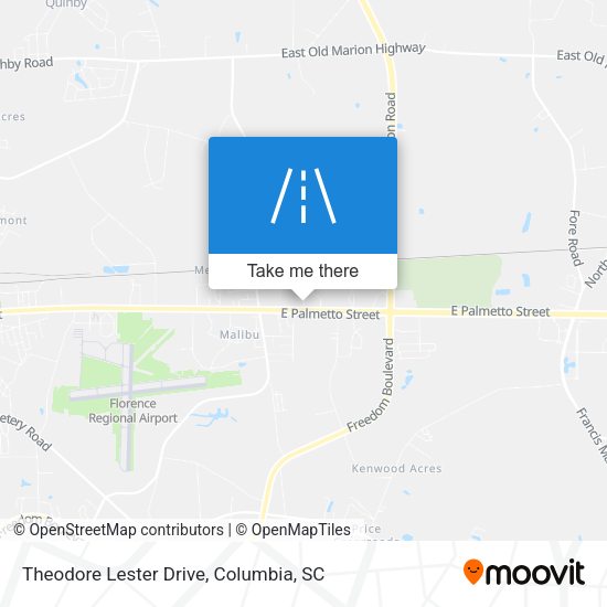 Theodore Lester Drive map