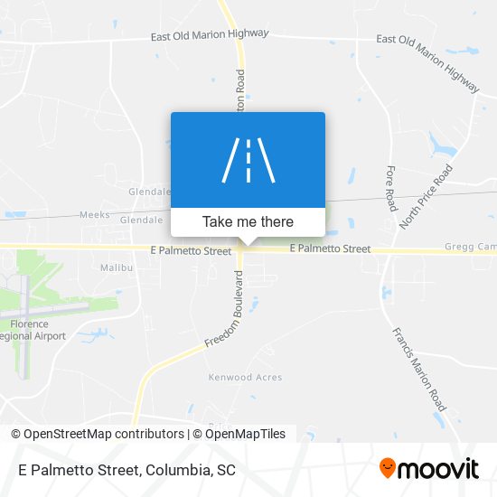 E Palmetto Street map