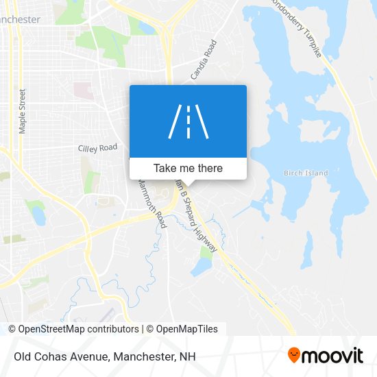 Mapa de Old Cohas Avenue