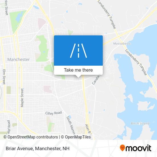 Mapa de Briar Avenue