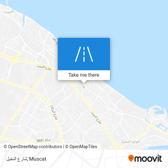 شارع النخيل map