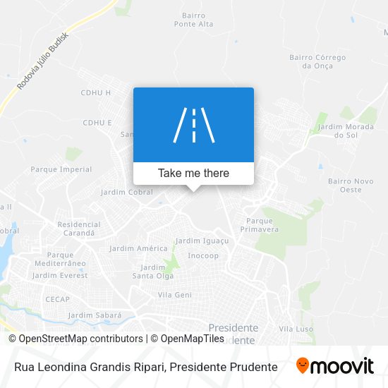 Rua Leondina Grandis Ripari map