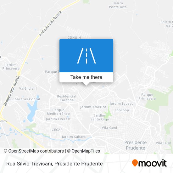 Rua Silvio Trevisani map