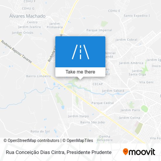 Rua Conceição Dias Cintra map