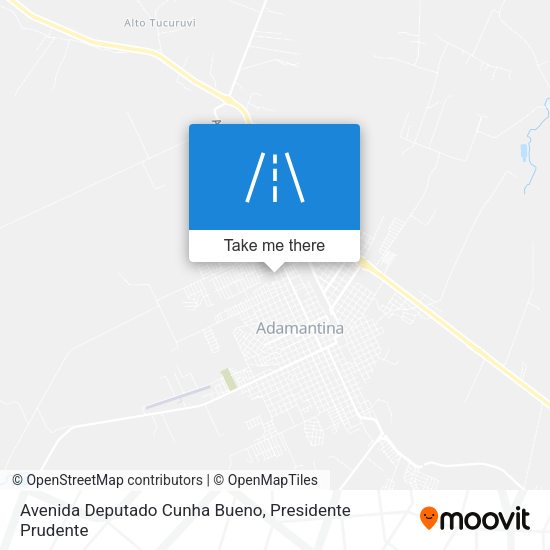 Avenida Deputado Cunha Bueno map