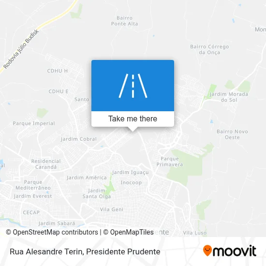 Rua Alesandre Terin map
