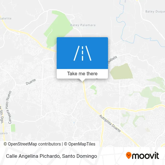 Mapa de Calle Angelina Pichardo