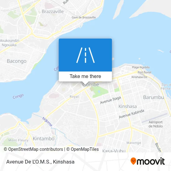 Avenue De L'O.M.S. map