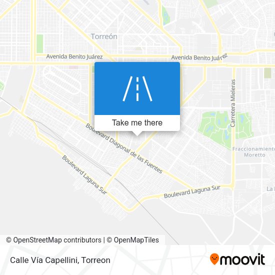 Calle Vía Capellini map