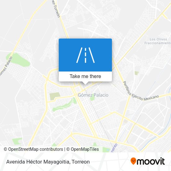 Avenida Héctor Mayagoitia map