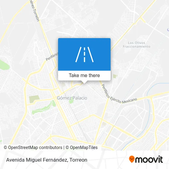 Avenida Miguel Fernández map