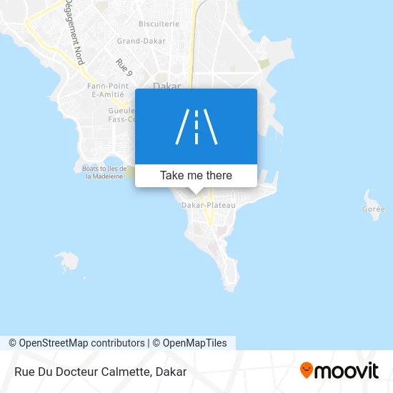 Rue Du Docteur Calmette map