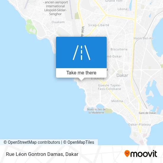 Rue Léon Gontron Damas map