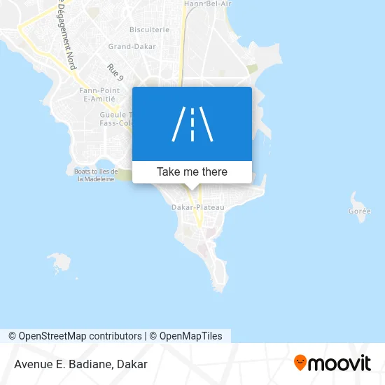 Avenue E. Badiane map