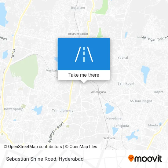 Sebastian Shine Road map