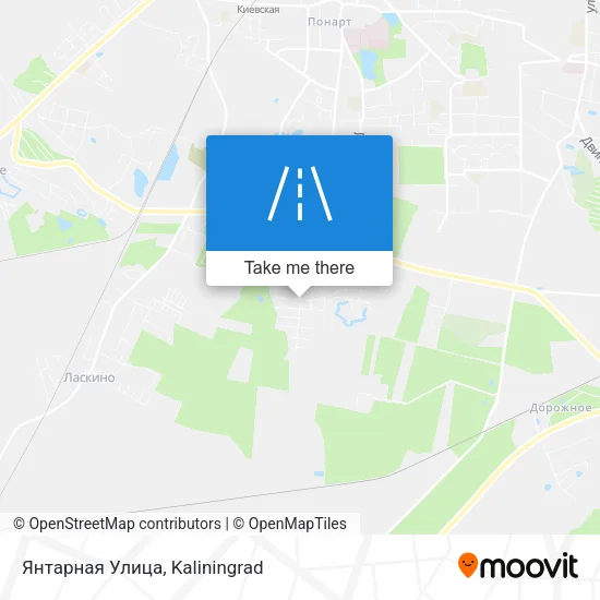 Янтарная Улица map