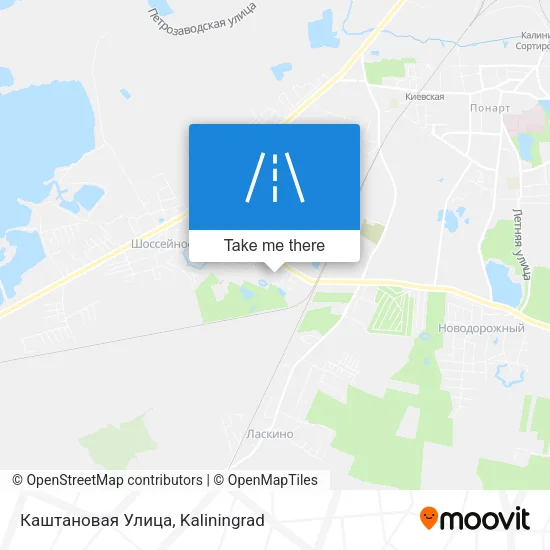 Каштановая Улица map