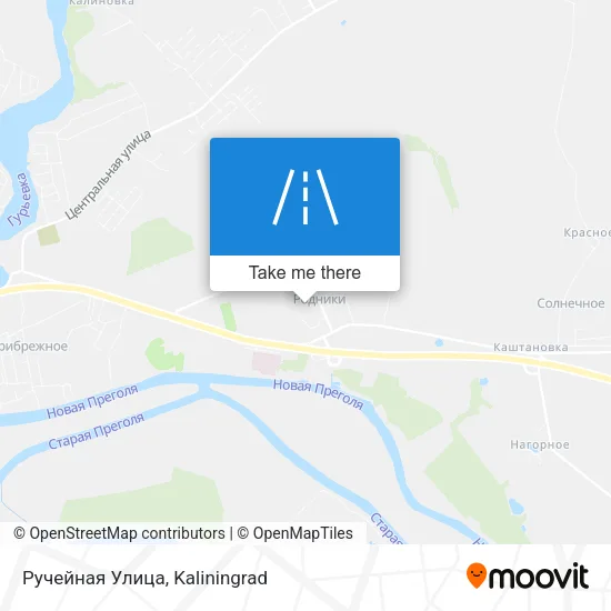 Ручейная Улица map