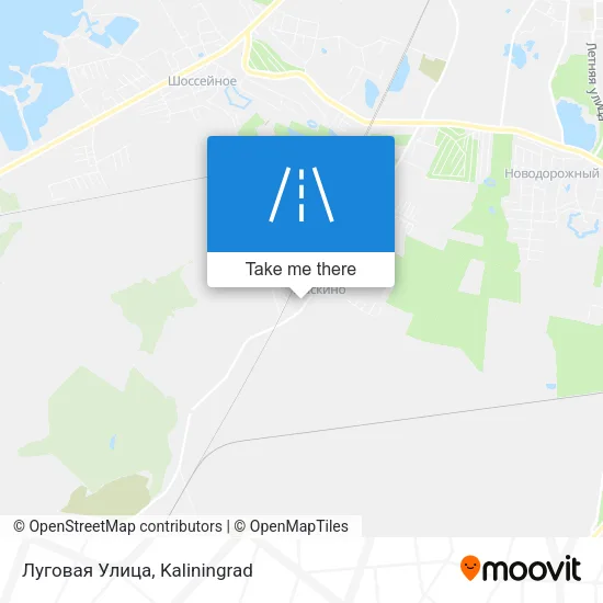 Луговая Улица map
