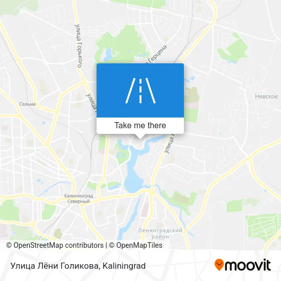 Улица Лёни Голикова map