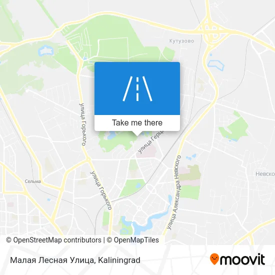 Малая Лесная Улица map