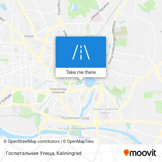 Госпитальная Улица map