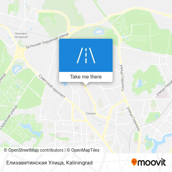 Елизаветинская Улица map