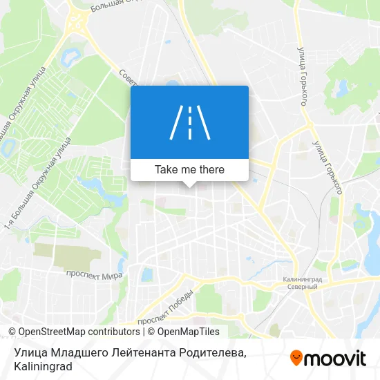 Улица Младшего Лейтенанта Родителева map