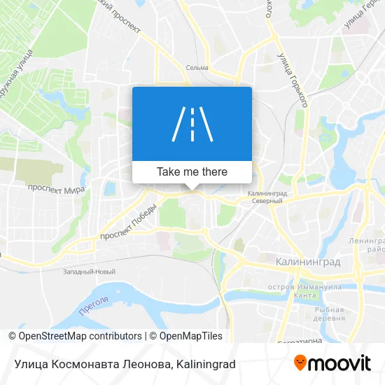 Улица Космонавта Леонова map