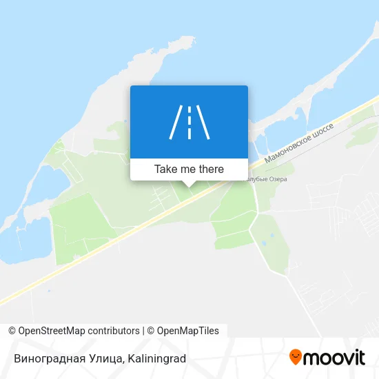 Виноградная Улица map