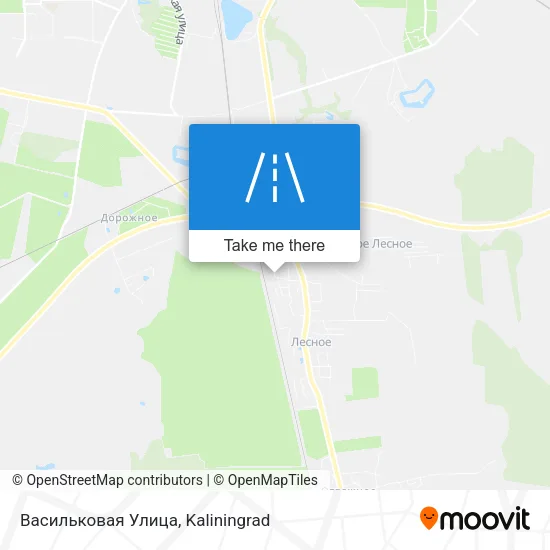 Васильковая Улица map
