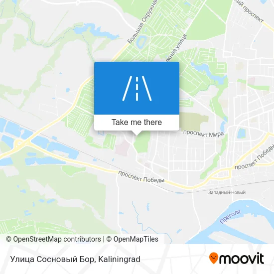 Улица Сосновый Бор map