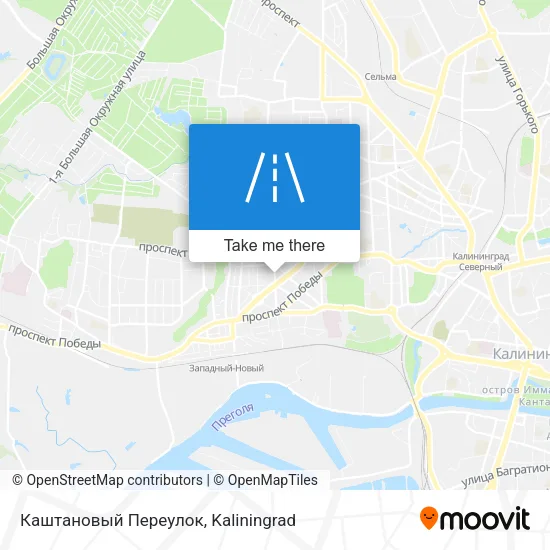Каштановый Переулок map