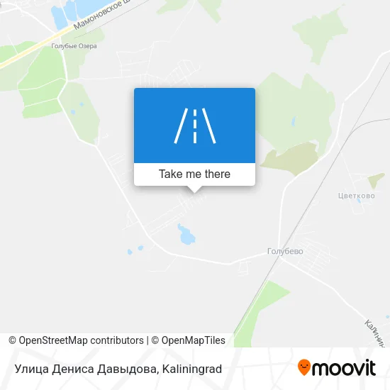 Улица Дениса Давыдова map