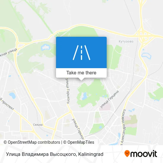Улица Владимира Высоцкого map