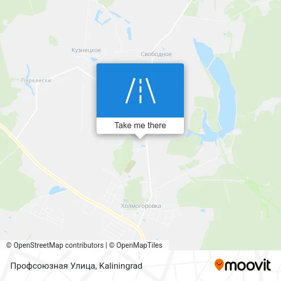 Профсоюзная Улица map
