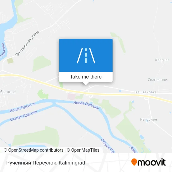 Ручейный Переулок map