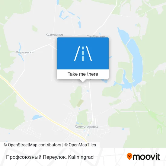 Профсоюзный Переулок map