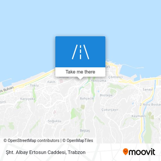 Şht. Albay Ertosun Caddesi map