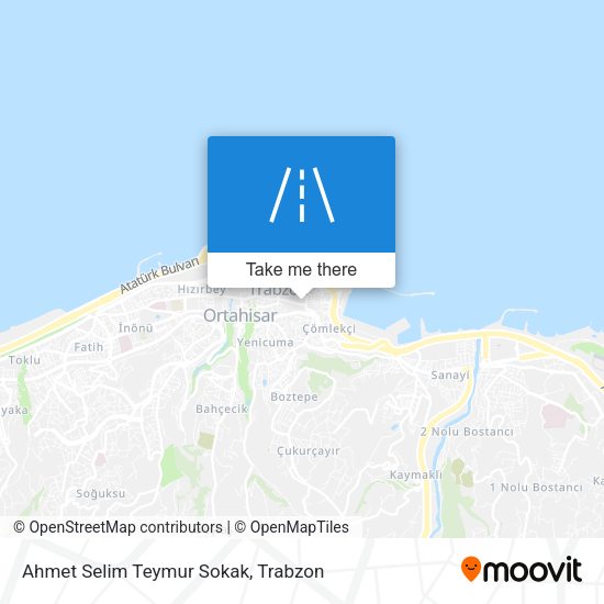 Ahmet Selim Teymur Sokak map