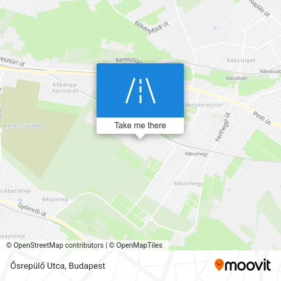 Ősrepülő Utca map