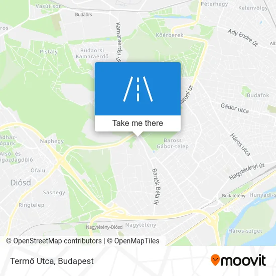 Termő Utca map