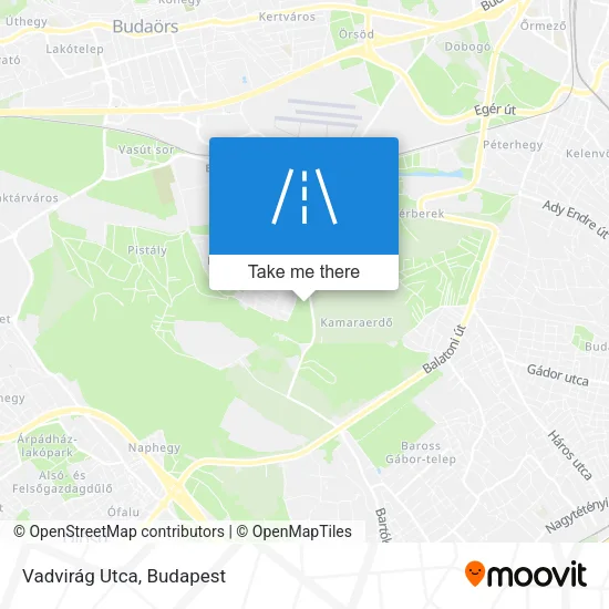 Vadvirág Utca map