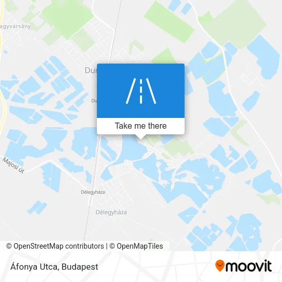 Áfonya Utca map