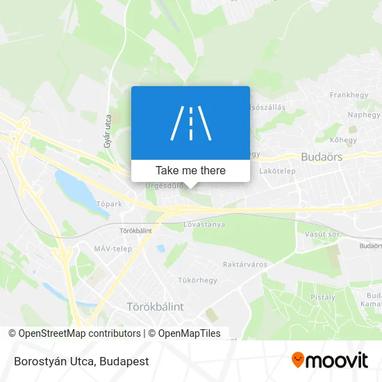 Borostyán Utca map